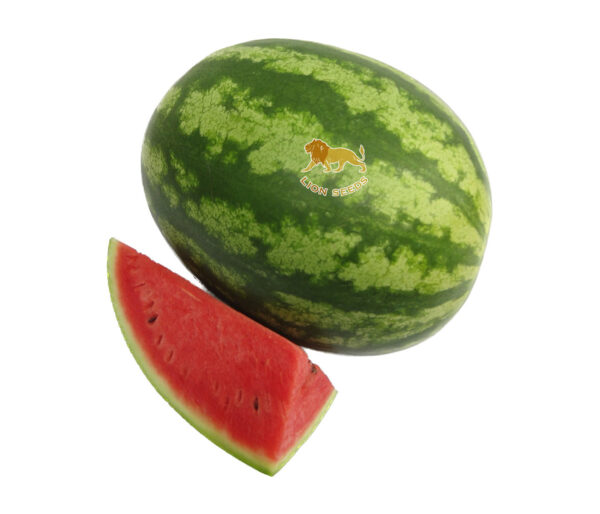 Watermelon C-WM4177